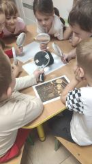 pp8signal026 033 08 31 3541