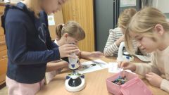 pp8signal 2026 03 23 08 323 834