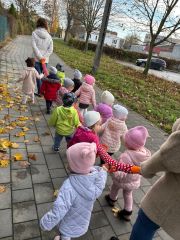 whatsapp image 2025 11 19 at.14.52f