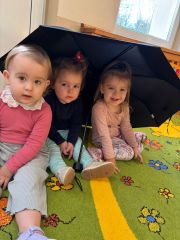 whatsapp image 2025 11 19 at.14.53f