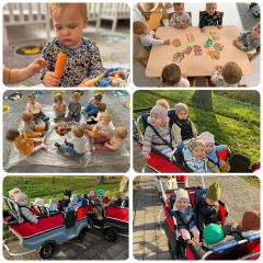 whatsapp image 2025 11 19 at.16.00e