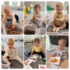 whatsapp image 2025 11 19 at.16.01