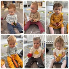 whatsapp image 2025 11 19 at.16.01a