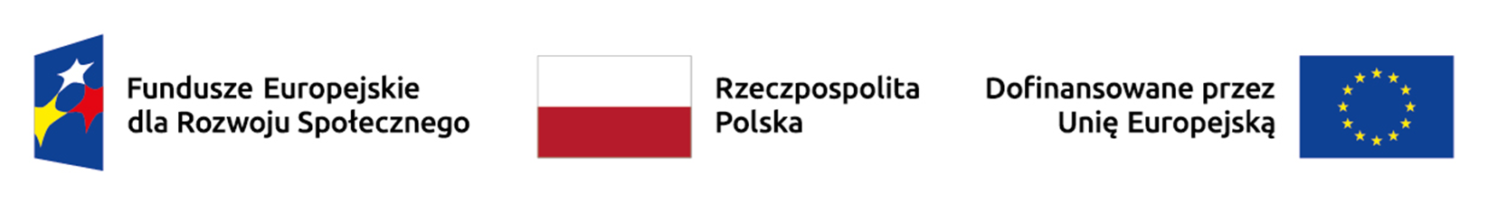 logo Fundusze Europejskie dla Rozwoju Społecznego